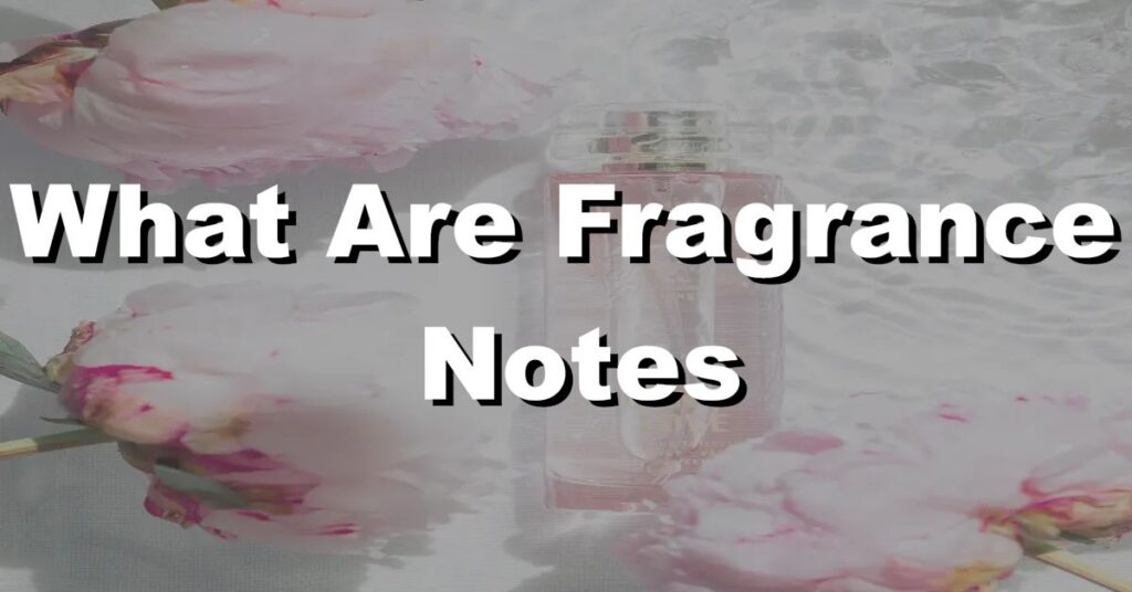 what are fragrance notes